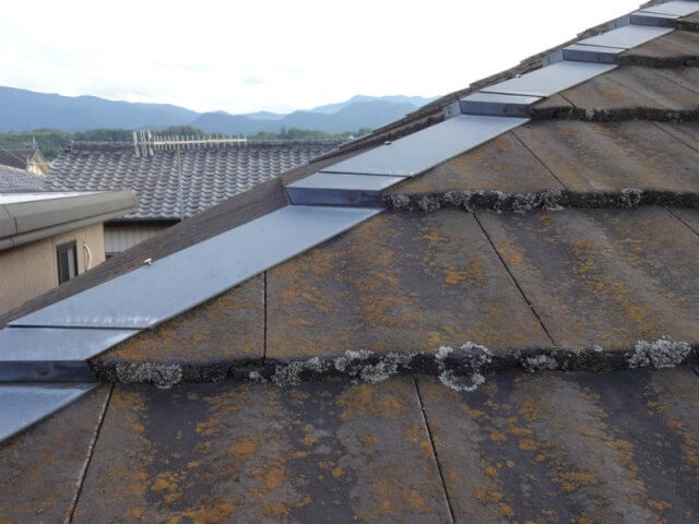 屋根にコケや藻(も)が発生する原因とは? | 塗装関連