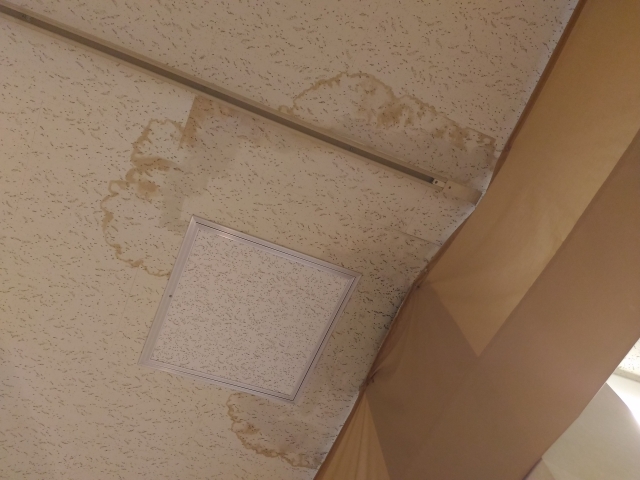 雨漏り シミ